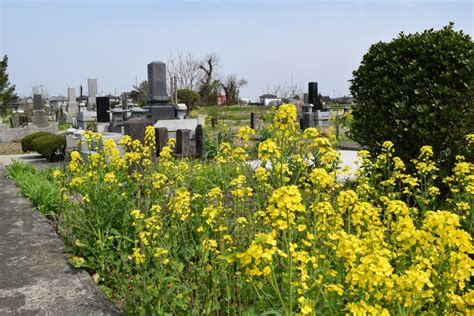 土葬 墓地|土葬について